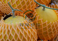Protección colorida de la fruta de la cubierta de la red de la espuma de EPE que embala la certificación ISO9001/2008