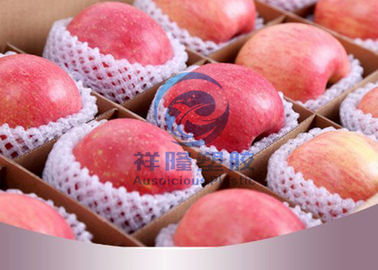 Cubierta suave de la red de la fruta de la espuma, abrigo de la espuma para la fruta respetuosa del medio ambiente
